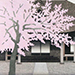 Tatsuo Kawashima Gallery